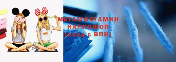 прущие грибы Абаза