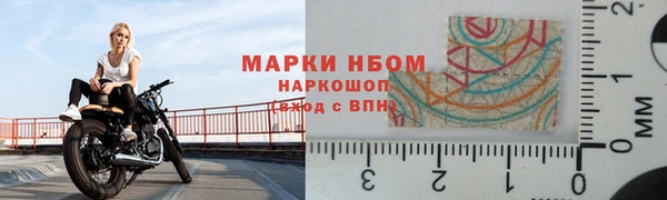 прущие грибы Абаза