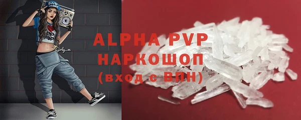 прущие грибы Абаза