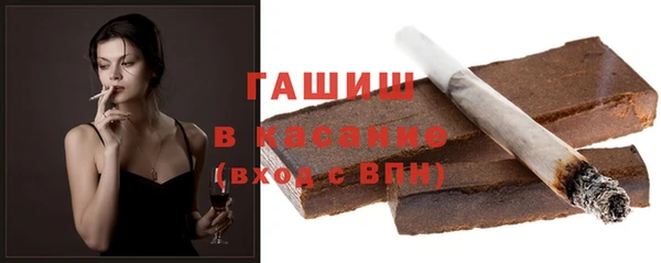 прущие грибы Абаза
