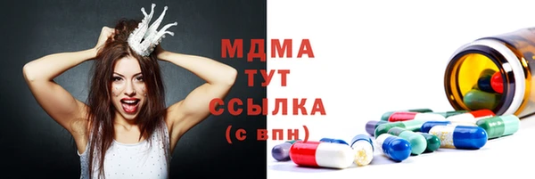 прущие грибы Абаза