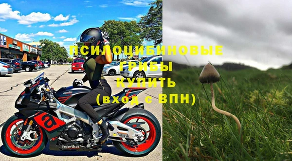 прущие грибы Абаза