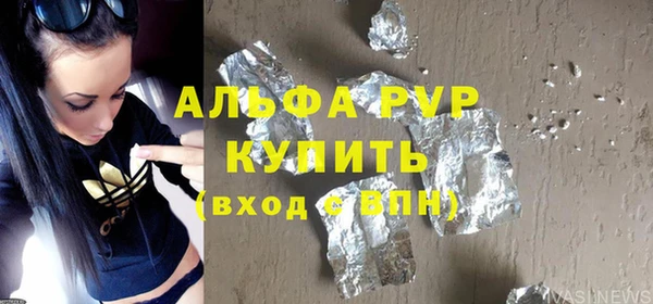 прущие грибы Абаза