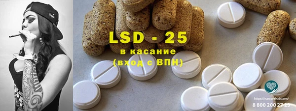 прущие грибы Абаза