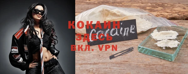 прущие грибы Абаза
